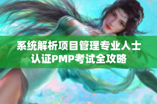系统解析项目管理专业人士认证PMP考试全攻略