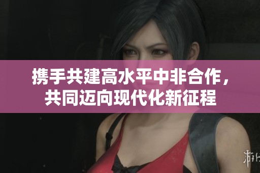 携手共建高水平中非合作，共同迈向现代化新征程