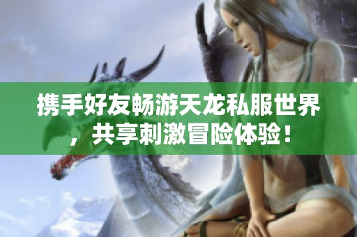 携手好友畅游天龙私服世界，共享刺激冒险体验！
