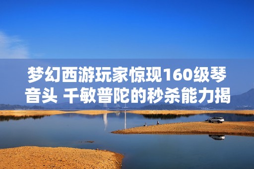 梦幻西游玩家惊现160级琴音头 千敏普陀的秒杀能力揭秘