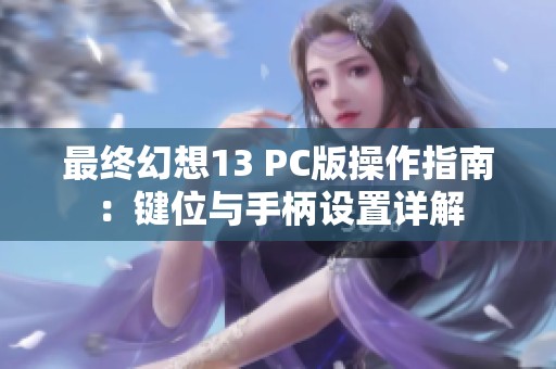 最终幻想13 PC版操作指南：键位与手柄设置详解