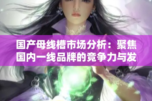 国产母线槽市场分析：聚焦国内一线品牌的竞争力与发展趋势