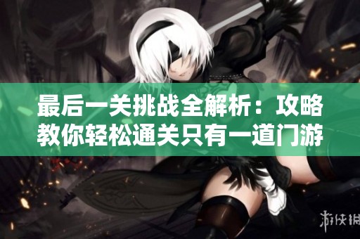 最后一关挑战全解析：攻略教你轻松通关只有一道门游戏