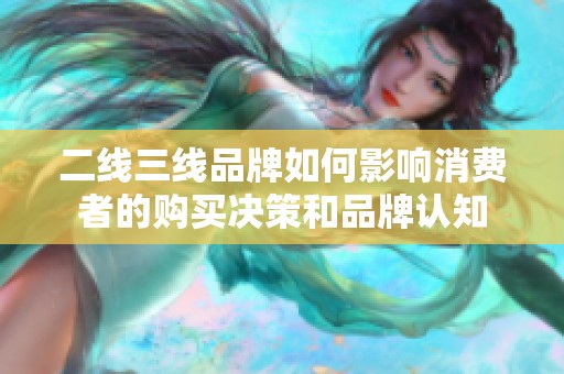 二线三线品牌如何影响消费者的购买决策和品牌认知