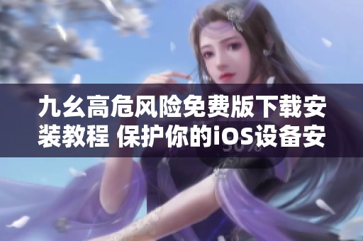九幺高危风险免费版下载安装教程 保护你的iOS设备安全