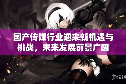 国产传媒行业迎来新机遇与挑战，未来发展前景广阔