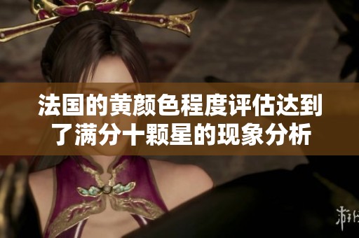 法国的黄颜色程度评估达到了满分十颗星的现象分析