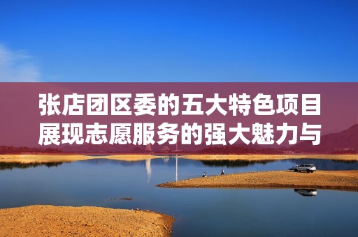 张店团区委的五大特色项目展现志愿服务的强大魅力与影响力