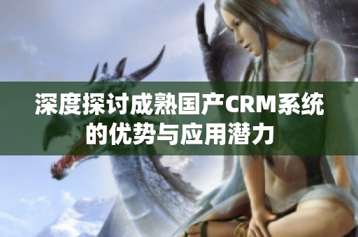 深度探讨成熟国产CRM系统的优势与应用潜力