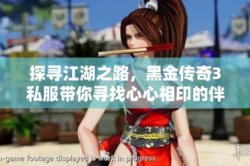 探寻江湖之路，黑金传奇3私服带你寻找心心相印的伴侣
