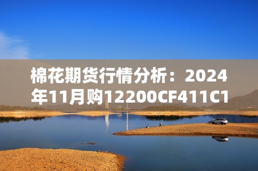 棉花期货行情分析：2024年11月购12200CF411C12200走势预测