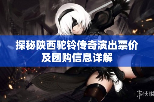 探秘陕西驼铃传奇演出票价及团购信息详解