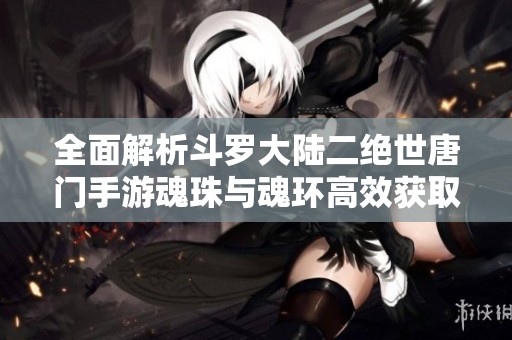 全面解析斗罗大陆二绝世唐门手游魂珠与魂环高效获取方法