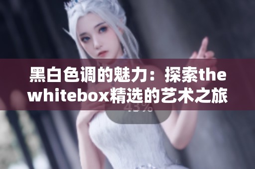 黑白色调的魅力：探索thewhitebox精选的艺术之旅