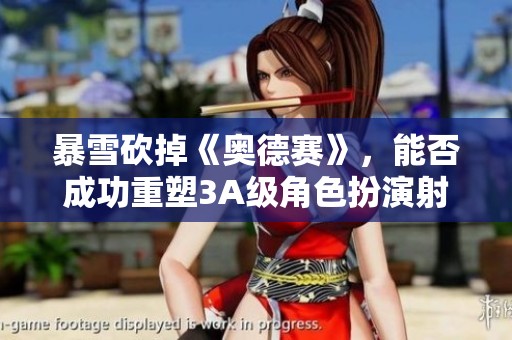 暴雪砍掉《奥德赛》，能否成功重塑3A级角色扮演射击游戏？