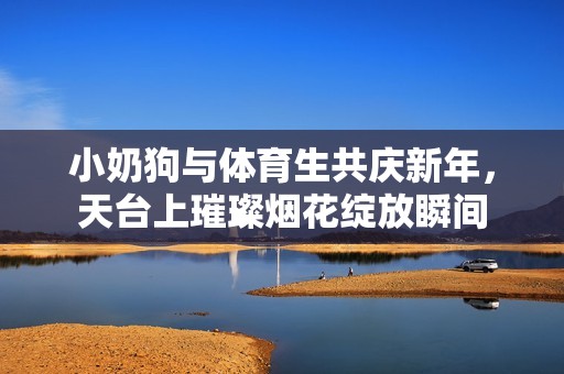 小奶狗与体育生共庆新年，天台上璀璨烟花绽放瞬间