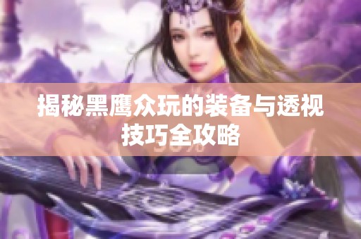 揭秘黑鹰众玩的装备与透视技巧全攻略