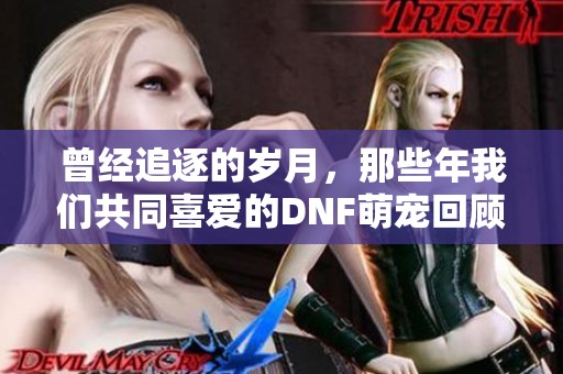 曾经追逐的岁月，那些年我们共同喜爱的DNF萌宠回顾