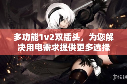 多功能1v2双插头，为您解决用电需求提供更多选择