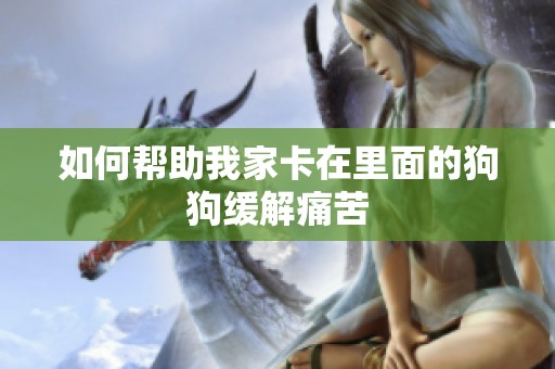 如何帮助我家卡在里面的狗狗缓解痛苦