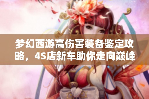 梦幻西游高伤害装备鉴定攻略，4S店新车助你走向巅峰