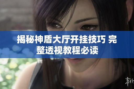 揭秘神盾大厅开挂技巧 完整透视教程必读