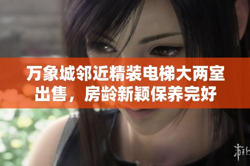 万象城邻近精装电梯大两室出售，房龄新颖保养完好