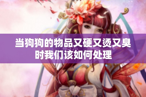 当狗狗的物品又硬又烫又臭时我们该如何处理