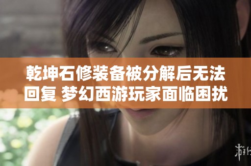 乾坤石修装备被分解后无法回复 梦幻西游玩家面临困扰