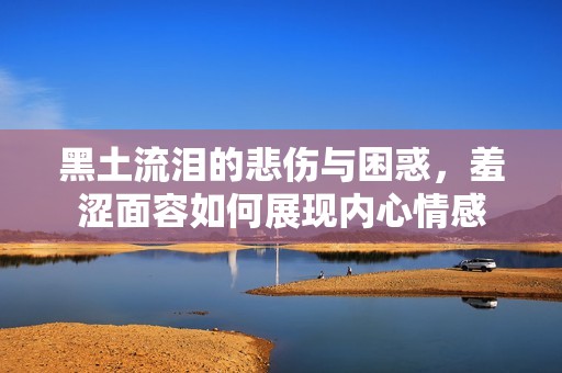 黑土流泪的悲伤与困惑，羞涩面容如何展现内心情感