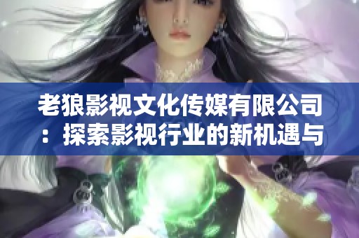 老狼影视文化传媒有限公司：探索影视行业的新机遇与挑战