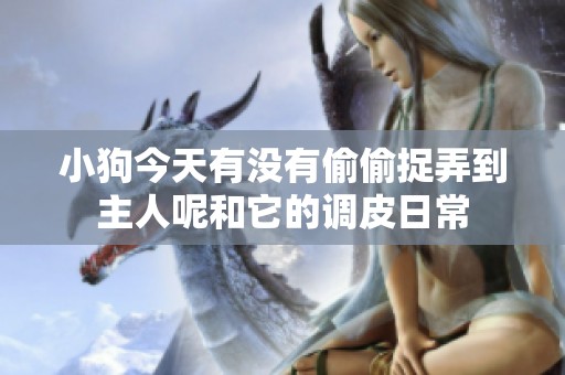小狗今天有没有偷偷捉弄到主人呢和它的调皮日常