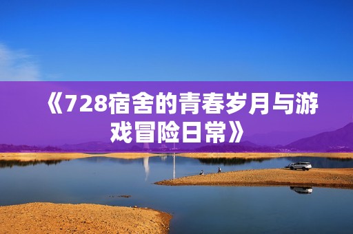 《728宿舍的青春岁月与游戏冒险日常》