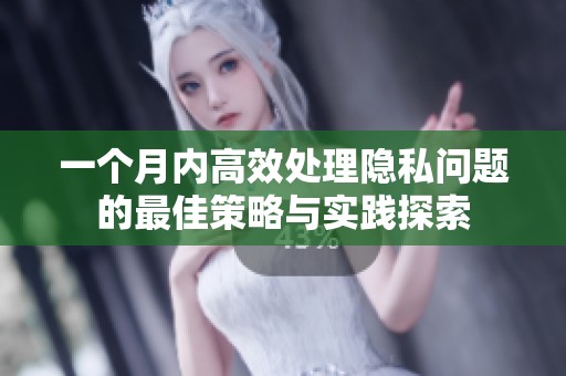一个月内高效处理隐私问题的最佳策略与实践探索