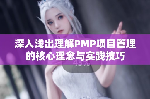 深入浅出理解PMP项目管理的核心理念与实践技巧