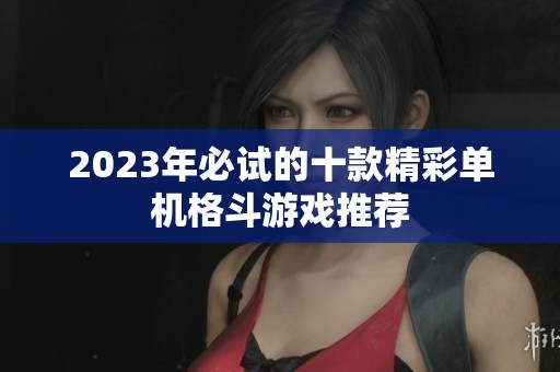 2023年必试的十款精彩单机格斗游戏推荐