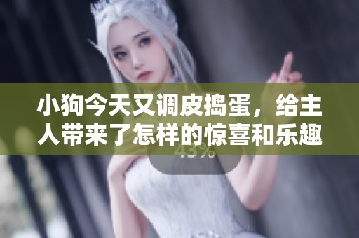小狗今天又调皮捣蛋，给主人带来了怎样的惊喜和乐趣呢