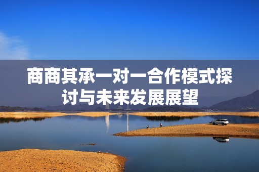 商商其承一对一合作模式探讨与未来发展展望