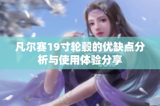 凡尔赛19寸轮毂的优缺点分析与使用体验分享