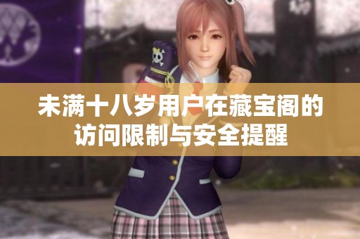 未满十八岁用户在藏宝阁的访问限制与安全提醒