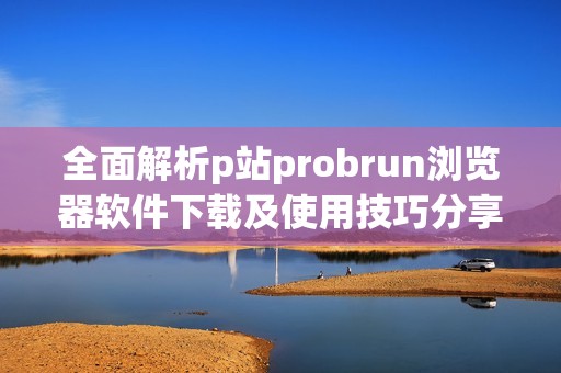 全面解析p站probrun浏览器软件下载及使用技巧分享