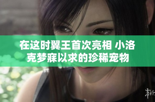 在这时翼王首次亮相 小洛克梦寐以求的珍稀宠物