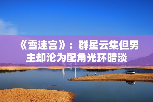 《雪迷宫》：群星云集但男主却沦为配角光环暗淡