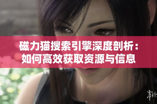磁力猫搜索引擎深度剖析：如何高效获取资源与信息