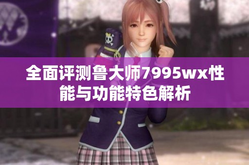全面评测鲁大师7995wx性能与功能特色解析