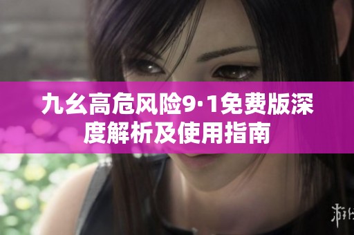 九幺高危风险9·1免费版深度解析及使用指南