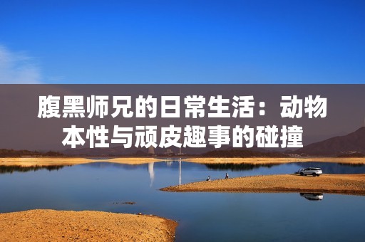 腹黑师兄的日常生活：动物本性与顽皮趣事的碰撞
