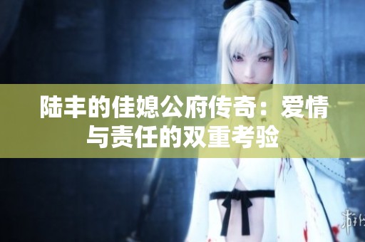 陆丰的佳媳公府传奇：爱情与责任的双重考验