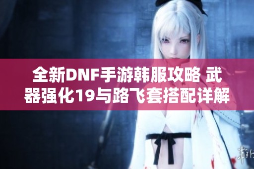 全新DNF手游韩服攻略 武器强化19与路飞套搭配详解