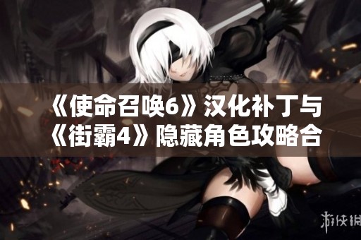 《使命召唤6》汉化补丁与《街霸4》隐藏角色攻略合集